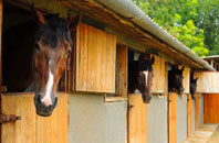 free Llwynmawr stable construction quotes