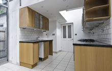 Llwynmawr kitchen extension leads